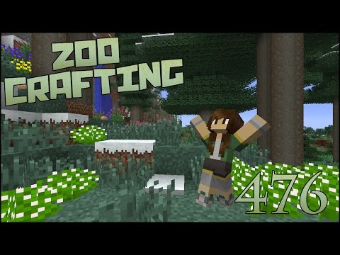 A Backyard Hike 🐘 Zoo Crafting Special! Episode #476