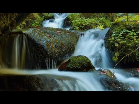 Meditazione Nella Giornata Mondiale Per L'acqua