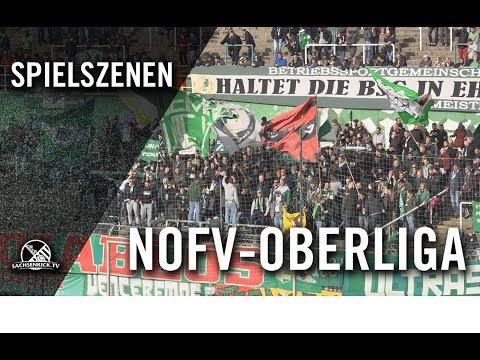 BSG Chemie Leipzig – VFL Hohenstein Ernstthal (11. Spieltag, Oberliga Südost)