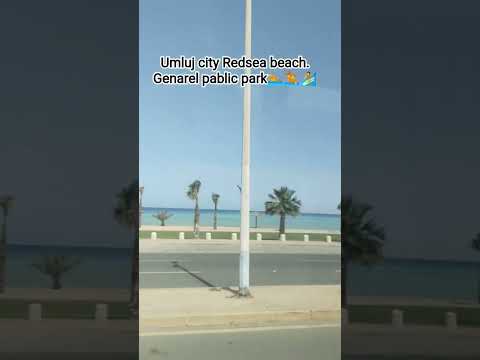 #bus#travel #beach #tourism #Umluj city#music   #Redsea beach ⛱️🏄
