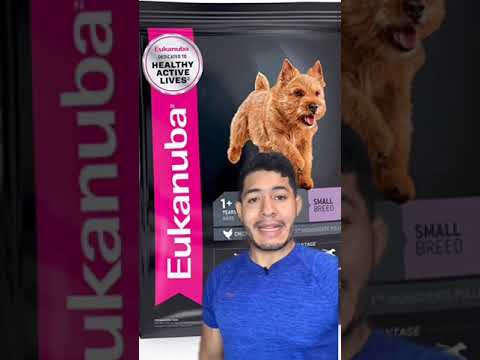 RANKING: 8 BEST DOG FOODS.