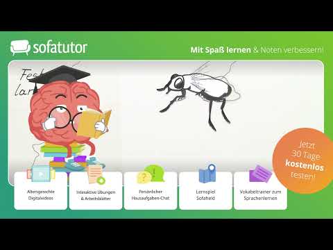 Mutation und Selektion – Anwendung einfach erklärt – Biologie