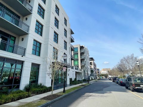 5 Gadsdenboro St Apt 406 property video