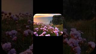 Download lagu 8 letters ~ why don't we (lyrics) | when I close my eyes song | #8letters #whydontwe #shorts #lyrics mp3 Download lagu 8 letters ~ why don't we (lyrics) | when I close my eyes song | #8letters #whydontwe #shorts #lyrics mp3