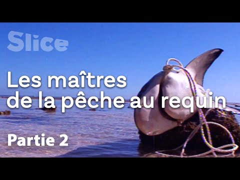 Capturer le seigneur des mers - Partie 2 | SLICE