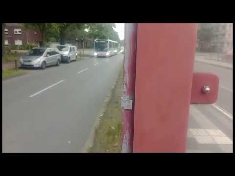 SB40 nach Duisburg Hauptbahnhof Osteingang #duisburg (#dvgduisburgmercedescitaroc2)