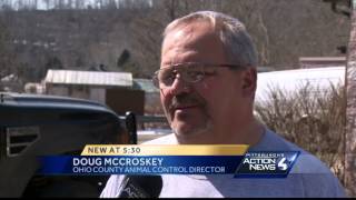 Dog kills man who was trying to save owner after heart attack