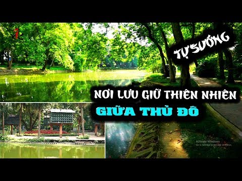 Vườn Bách Thảo | nơi thiên nhiên nhất giúp người Hà Nội chốn cái ngột ngạt chốn thị thành