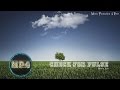 Check For Pulse by Martin Hall - [Indie Pop Music]