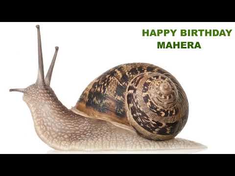 Mahera   Animals & Animales - Happy Birthday