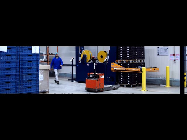 youtube video background