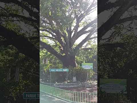 San Lorenzo Ahuachapan