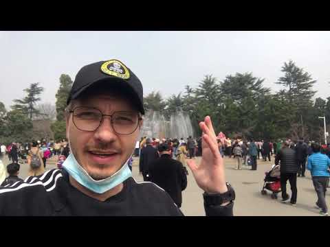 Chinese do this EVERY Sunday!