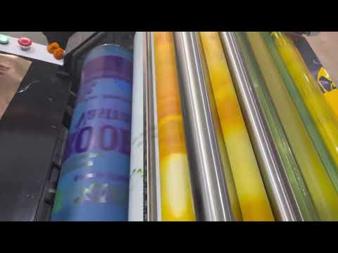 Non Woven Bag Printing Machine