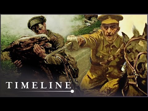 The Tragic True Story Of War Horse | War Horse | Timeline