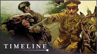 War Horse: The Real Story (WW1 Documentary) | Timeline