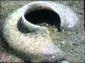 Sesame Street A Trip To The Seashore Boy At Beach 1969