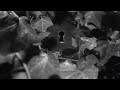 Metallica: The Unforgiven (Theatrical Version) (Official Music Video) Metallica: The Unforgiven (Theatrical Version) (Official Music Video)