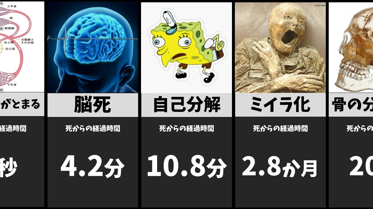 死後、体に起こる変化