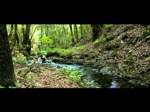 La Gomera - Tienes que venir aquí
