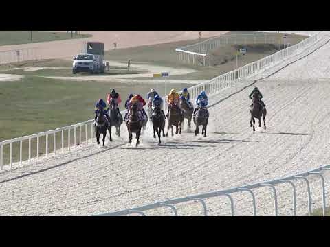 2019.03.31. 04. futam - NYERETLENEK VERSENYE (V.kat.) (szintetikus pálya)