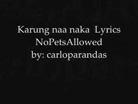 Karung Naa Naka - NoPetsAllowed Lyrics on screen