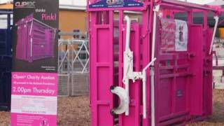 preview picture of video 'Pink Squeeze Chute / Cattle Crush - Charity Auction'