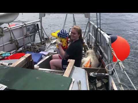 Alaska Cabin Build - From Tree to Sea to Home