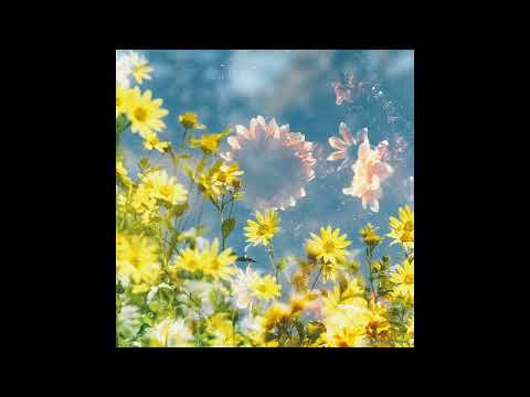 Blank Embrace - Sun​ ​Wrapped Faces (2020)