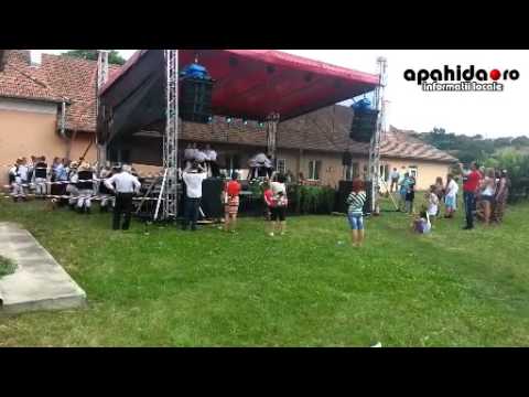Fii satului Dezmir 2014 www.apahida.ro.avi