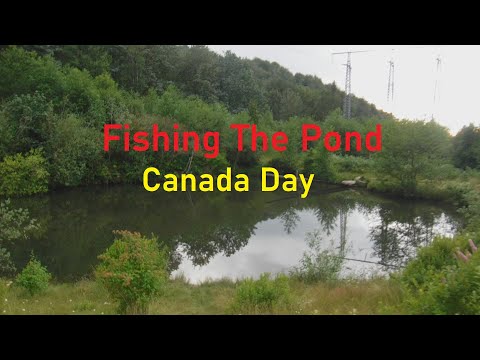 Canada Day Fishing The Pond