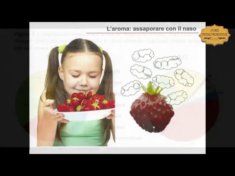 La fragola profumata di Tortona, ricchezza del territorio