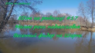 Рыбалка на реке шерна о рыбалке