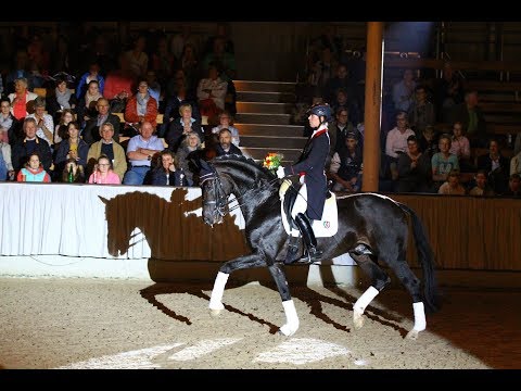 SUNDAY bei der Hengstschau des Landgestüts in MS-Handorf 2018