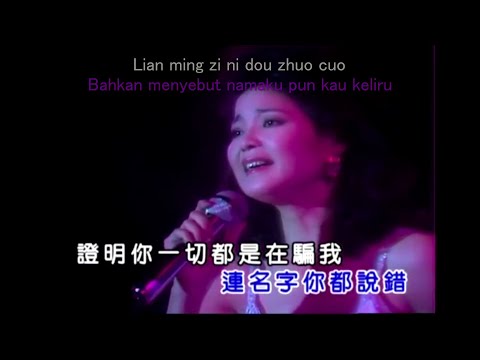 Teresa Teng - Ni Zen Me Shuo (lirik pinyin + terjemahan Bahasa Indonesia)
