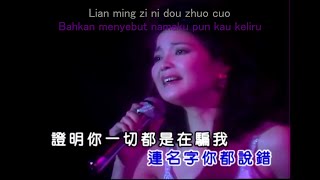 Download lagu Teresa Teng - Ni Zen Me Shuo (lirik pinyin   terjemahan Bahasa Indonesia) mp3