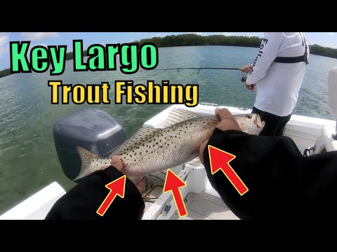 Trout in Key Largo?! Fishing for Trout Catch and Cook