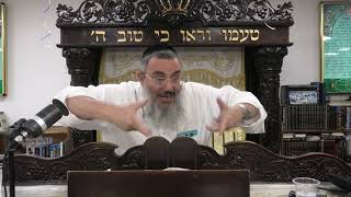 הרב דניאל אלול - פרשת תצוה - תשפ"ו (ישיבת שעלבים) - התמונה מוצגת ישירות מתוך אתר האינטרנט יוטיוב. זכויות היוצרים בתמונה שייכות ליוצרה. קישור קרדיט למקור התוכן נמצא בתוך דף הסרטון