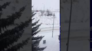 Snowing day with -17