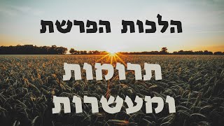 הפרשת תרומות ומעשרות I שיעור 3 I הרה"ג יוסף הללויה שליט"א