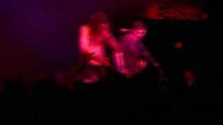 40 Below Summer -  Little Lover