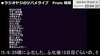 ツバメライブ(テスト)