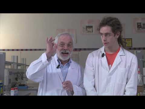 Ketchup in ascensore