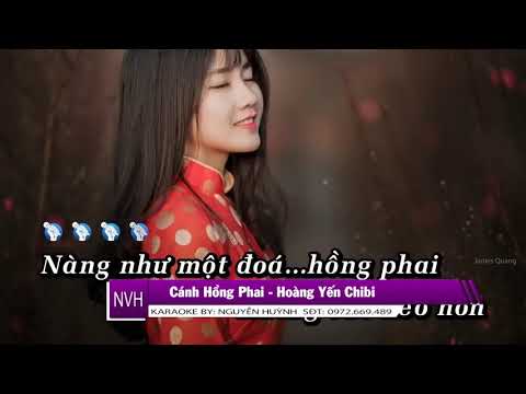 CÁNH HỒNG PHAI KARAOKE TONE NỮ
