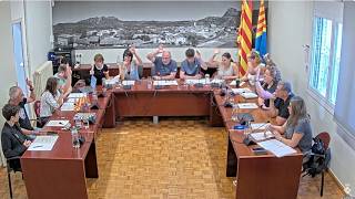 Ple ordinari de 28 de maig de 2026