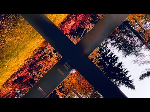 Acoped - My Sanity (Lyric Video)