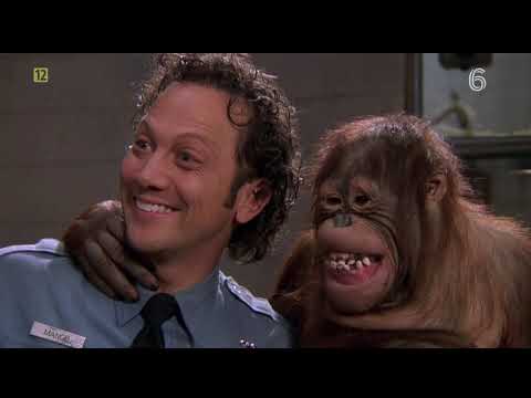 Film Zwierzak - scena z małpą