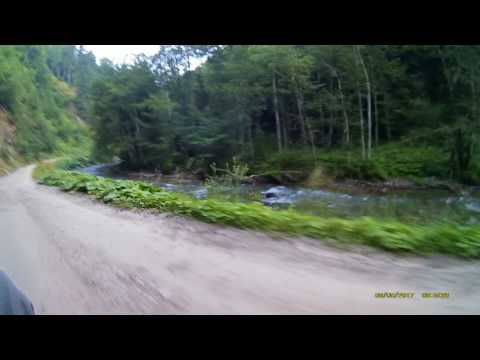 Drum forestier Valea Doamnei 18