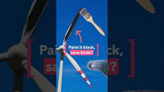European researchers test black wind turbine blades to reduce bird deaths