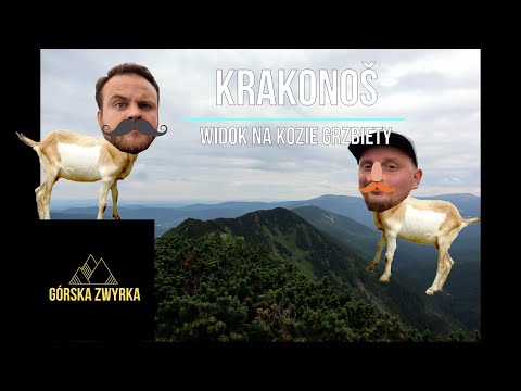 Krakonos (Kozie Grzbiety)- Górska Zwyrka
